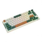 Wireless mechanical keyboard Royal Kludge RKH81 RGB, Sky cyan switch (green)