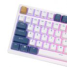 Mechanical keyboard Royal Kludge RK98 RGB, Red switch (blue)