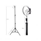 Tracer TRAOSW46745 Ring Light 15 W/30 cm/900-1700 lm/gyűrűs LED lámpa normál állvánnyal