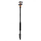 Tripod K&F Concept D254C1+BH-28L