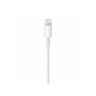 APPLE Lightning to USB cable (1 m)