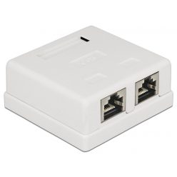 DeLock Modular Wall Outlet 2 Port Cat.6