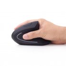 Gembird MUSW-ERGO-01 Ergonomic wireless mouse Black