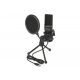 DeLock USB Condenser Microphone Set  for Podcasting, Gaming and Vocals Black