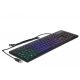 DeLock RGB Illumination USB Keyboard Black DE