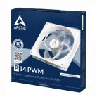 Arctic P14 PWM white/transparent