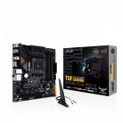 Asus TUF GAMING B550M-PLUS WIFI II