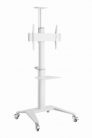 Gembird TVS-70T-02-W Aluminum TV floor stand with caster wheels 37"-70" White