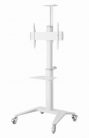 Gembird TVS-70T-02-W Aluminum TV floor stand with caster wheels 37"-70" White