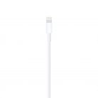 Apple Lightning to USB Cable 1m White