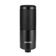 Shure SM4 Home Recording Microphone Black