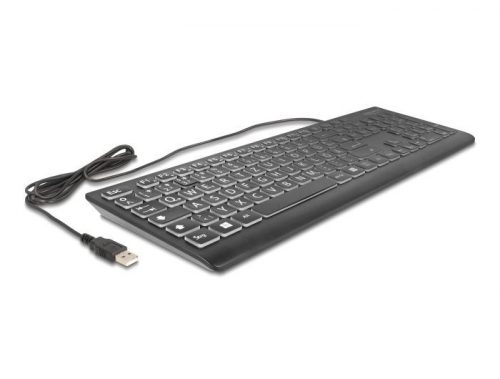 DeLock USB Keyboard wired 1.5m with XXL Letters and Illumination Black HU